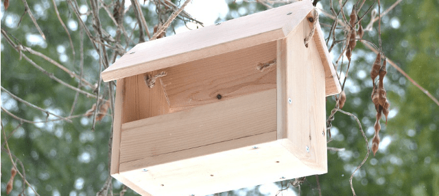 bird feeder diy